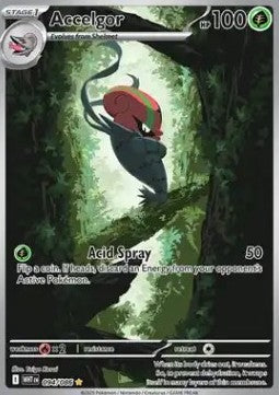 Accelgor (WHT 094) Español